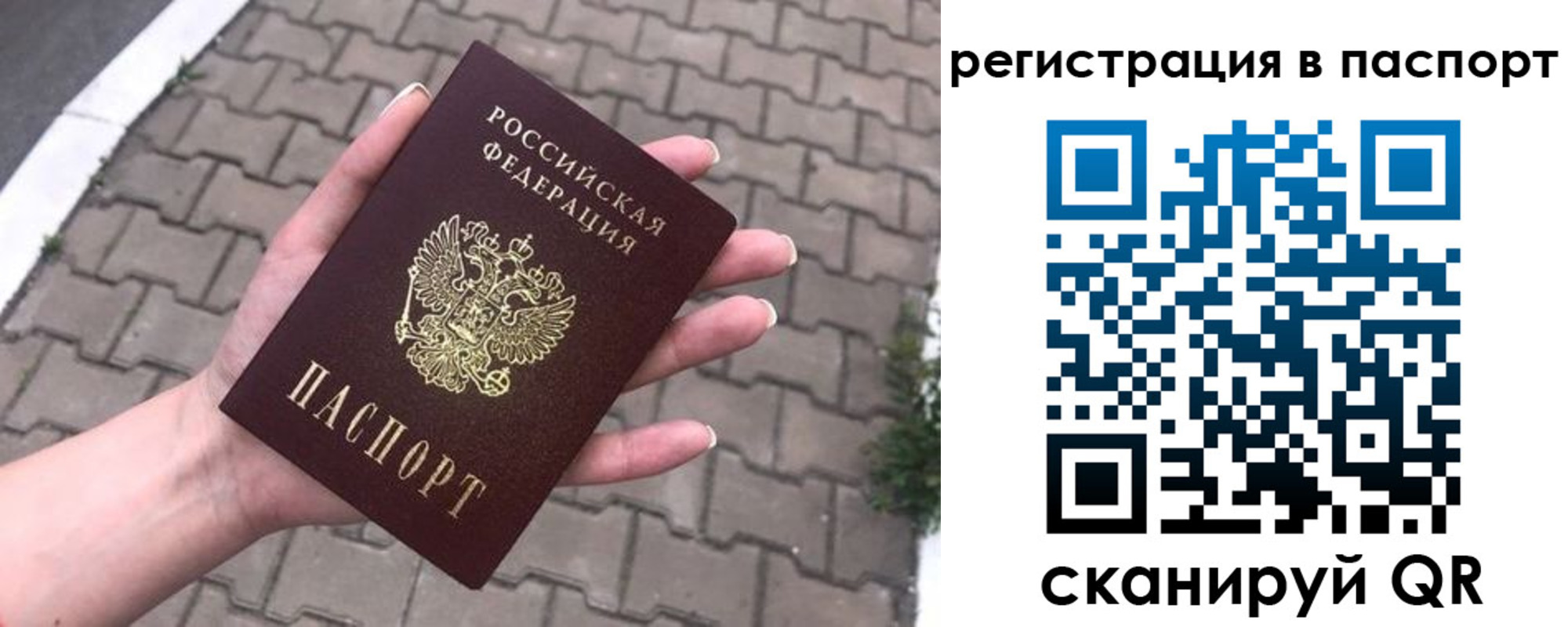 временная регистрация поиск в Фрязино